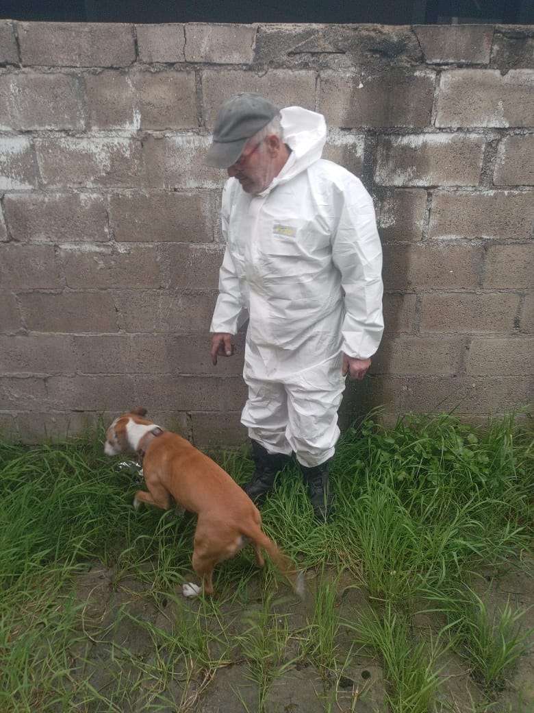 Charles from Bee Bandits in a beekeeper suit beside Zyla the dog on a callout