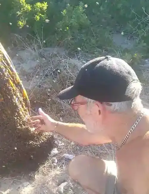 Charles inspecting a nest on a callout