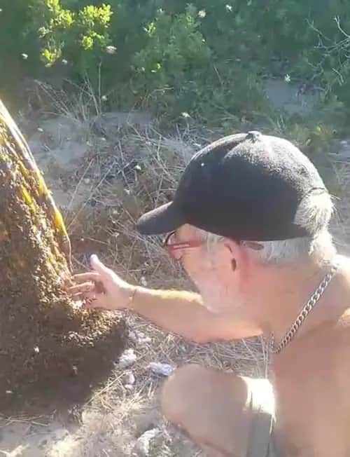 Charles accessing the bees